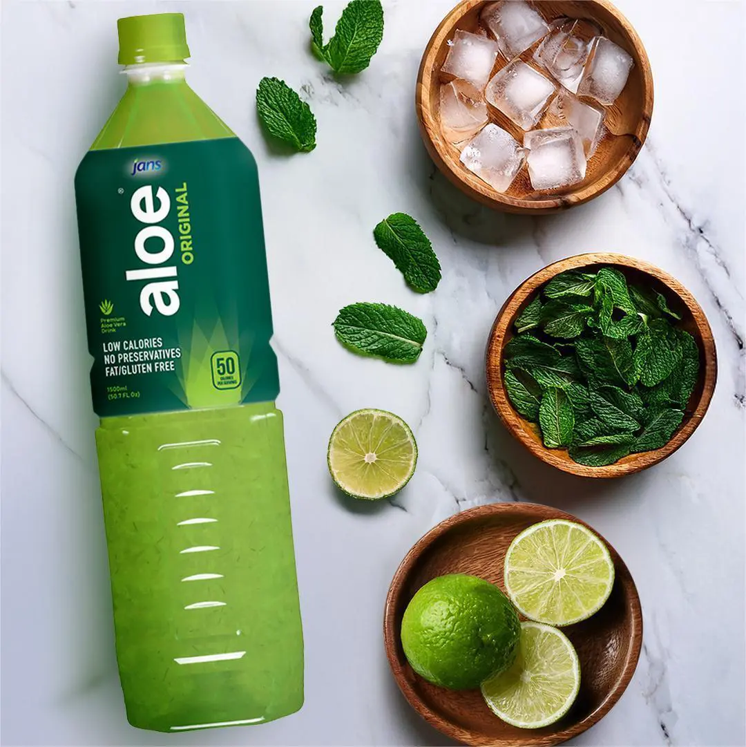 mocktail ingredients for jans aloe vera drink